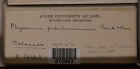 Image Associated With the Occurence